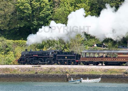 Purchase photo of 75014 BRAVEHEART at Dartmouth Steam Railway